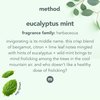 Method Eucalyptus Mint Scent Daily Shower Cleaner 28 oz Liquid 00083